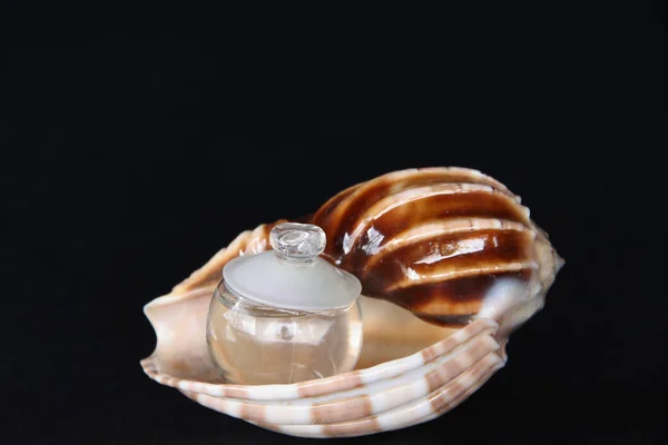 Flacon Parfum Forme Boule Comme Des Perles Dans Une Coquille — Photo