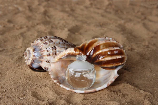 Flacon Parfum Forme Boule Comme Des Perles Sur Fond Coquillages — Photo
