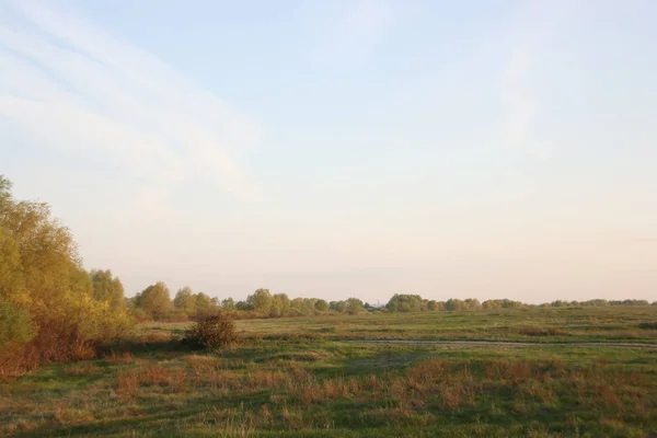 Wasserwiesen Der Nähe Des Staritsa Flusses Den Strahlen Der Aufgehenden — Stockfoto