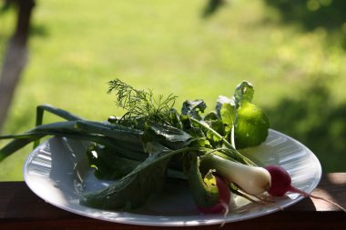 Taze sebze turp, dereotu, marul, soğan, bahçenin arka planına karşı beyaz bir tabak üzerinde salatalık