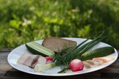 Tuzlu pastırma, çavdar ekmeği ve taze sebzeler, yeşil soğan, kırmızı turp, yeşil dereotu, yeşil bir bahçenin arka planında bir tabak salatalık