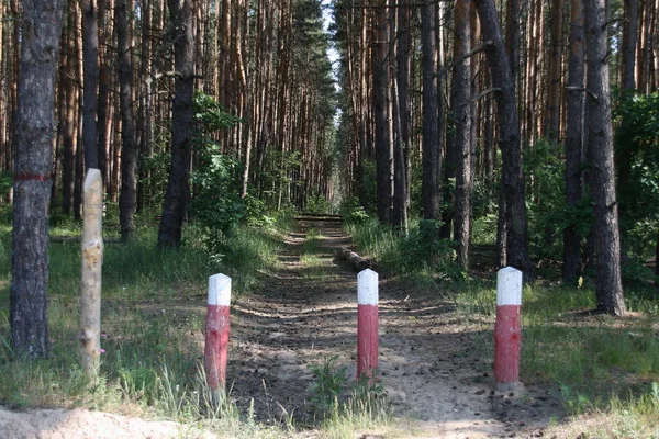 White-red poles to restrict entry to the forest for fire safety