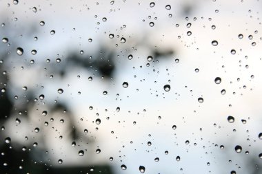 Bahçe ve gökyüzünün arka planına karşı yağmurdan sonra pencere bölmesindeki su damlaları