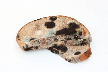 Beyaz arka planda çavdar ekmeği üzerinde siyah gri sarı kalıp 