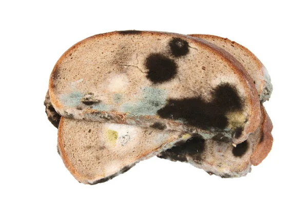 Beyaz arka planda çavdar ekmeği üzerinde siyah gri sarı kalıp 