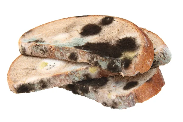 Formy Chleb Żytni Białym Tle — Zdjęcie stockowe