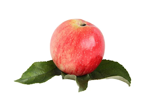 白い背景の上の緑の葉と赤いりんご — ストック写真