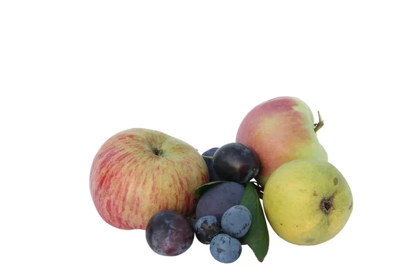 Rote Äpfel Gelbe Birne Und Blaue Pflaumen Mit Grünem Blatt — Stockfoto