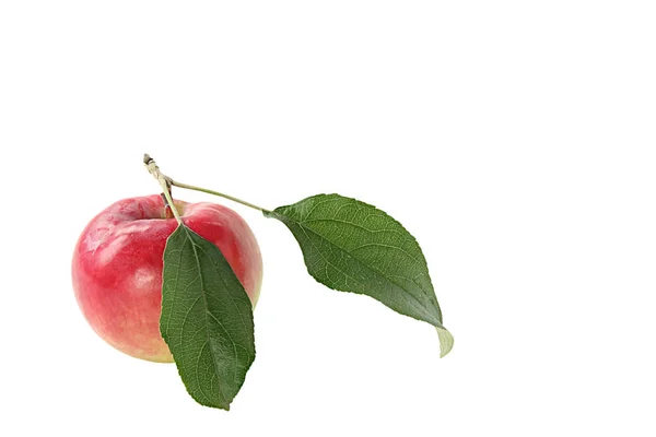 Зрізати Червоне Яблуко Зеленим Листям Білому Тлі — стокове фото