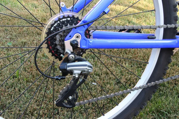 Transmission stars of a speed bike on a green lawn background