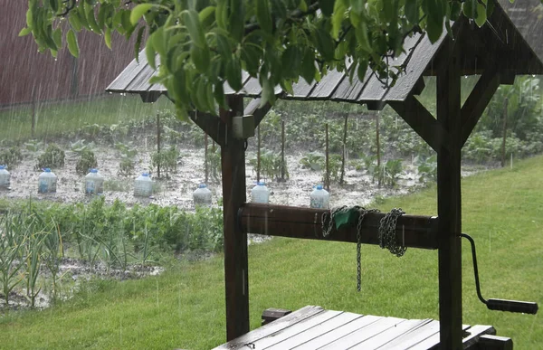 Summer Rain Washed Away Beds Garden — Stock Photo, Image