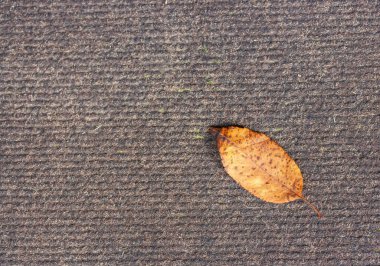 Kahverengi arka planda kahverengi lekeli kuru sarı yaprak.