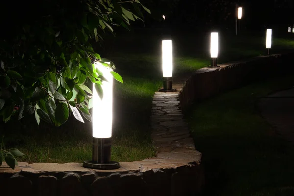 Lanternas Parque Noite Fundo Folhas Verdes Gramado Verde — Fotografia de Stock