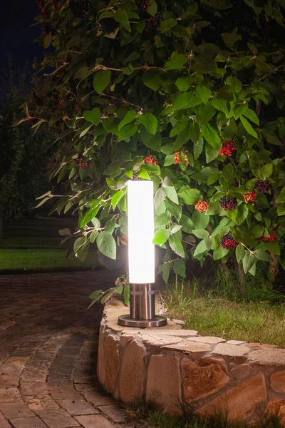 Lanterna Fundo Uma Calçada Pedra Arbusto Ornamental Com Molduras Verdes — Fotografia de Stock