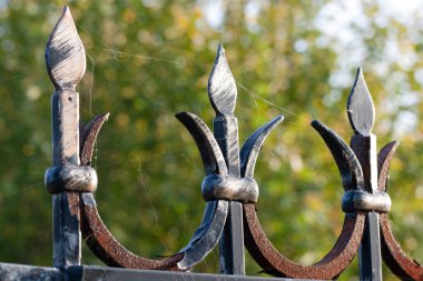 Sarı ve yeşil arka planda paslı metal bir çitin üzerindeki örümcek ağı.