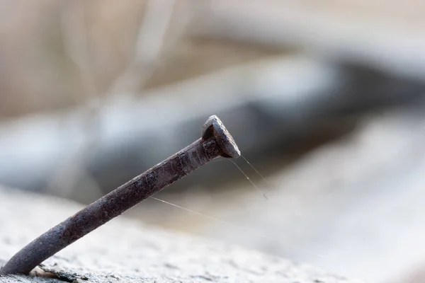 Böjt Rostig Metall Spik Och Vit Tunn Spindel Nät — Stockfoto