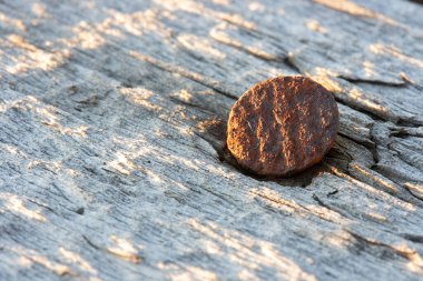 Eski gri tahtada paslı kahverengi çivi başı