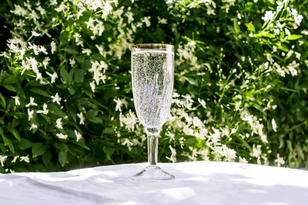 Szklanka czystej wody z bąbelkami, wygląda jak szampan, stoi na stole na tle niewyraźne kwiaty. Skopiuj miejsce na tekst. Koncepcja wody i zdrowego stylu życia — Zdjęcie stockowe