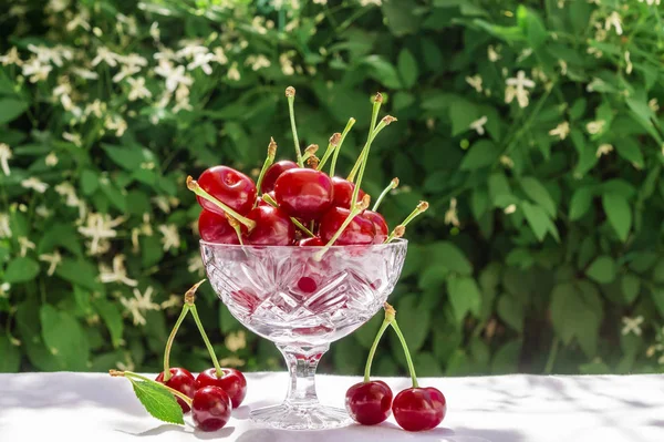 Cerises fraîches dans un bol en cristal sur une table avec un chiffon blanc sur un fond naturel vert de fleurs floues. Concept d'aliments sains, vitamine C. Copiez l'espace pour votre texte — Photo