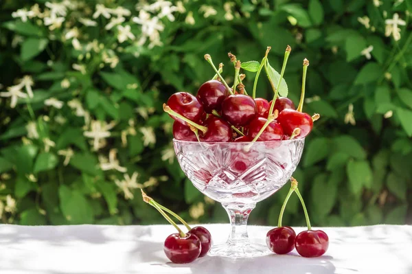 Cerises fraîches dans un bol en cristal sur une table avec un chiffon blanc sur un fond naturel vert de fleurs floues. Concept d'aliments sains, vitamine C. Copiez l'espace pour votre texte — Photo