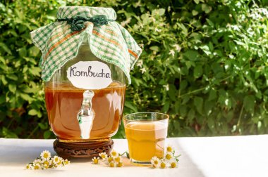 Eski vintage şişe ve cam tıbbi bir papatya ile ferahlatıcı kombucha çay, bulanık çiçeklerin zeminüzerinde üzerinde etiket kombucha yazılı. Sağlıklı doğal probiyotik aromalı içecek. Kopyalama alanı