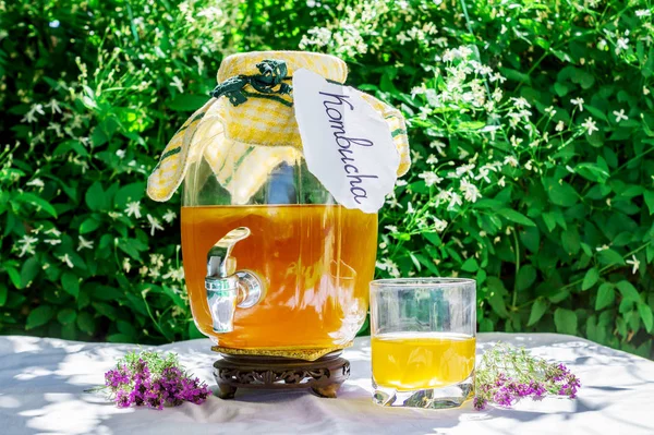 Bir cam eski vintage şişe ve bir bardak kekik ile ferahlatıcı kombucha çay, etiketli bulanık çiçeklerin zemin üzerinde kombucha yazılı. Sağlıklı doğal probiyotik aromalı içecek. Kopyalama alanı