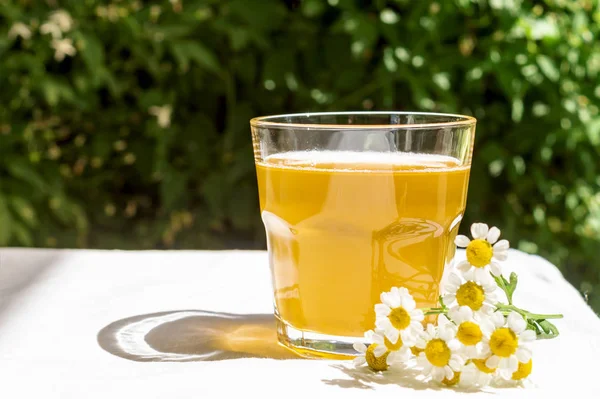 在模糊的花朵背景下，用一杯医用甘菊刷新康布茶。健康的天然益生菌调味饮料。复制空间 — 图库照片