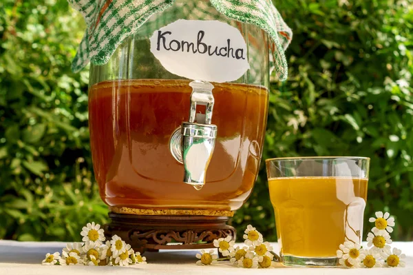 Eski vintage şişe ve cam tıbbi bir papatya ile ferahlatıcı kombucha çay, bulanık çiçeklerin zeminüzerinde üzerinde etiket kombucha yazılı. Sağlıklı doğal probiyotik aromalı içecek. Kopyalama alanı