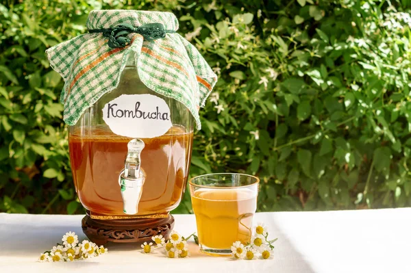 Eski vintage şişe ve cam tıbbi bir papatya ile ferahlatıcı kombucha çay, bulanık çiçeklerin zeminüzerinde üzerinde etiket kombucha yazılı. Sağlıklı doğal probiyotik aromalı içecek. Kopyalama alanı