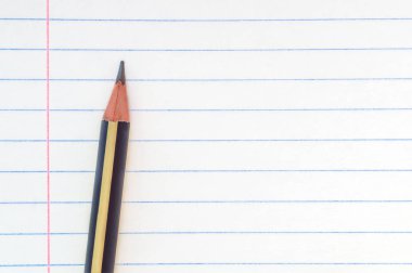 Okula geri dön, eğitim kavramı - eğitim yeni akademik yıl başlatmak veya çalışma dönemi başlatmak için defter çizgili kağıt arka plan üzerinde yakın çekim çizgili kalem. Mock. Kopyalama alanı