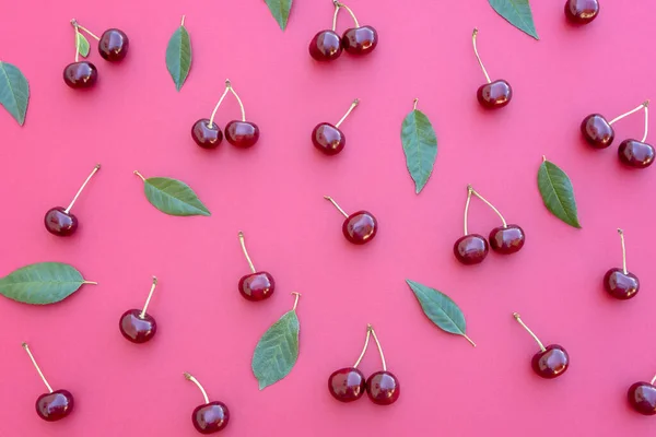 Cerises Feuilles Vertes Motif Sur Fond Rose Foncé Motif Cerise — Photo