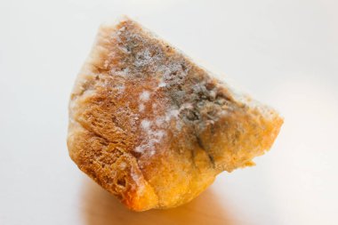 Açık renkli, uygun olmayan gıda kavramı üzerinde küflü ekmek parçası