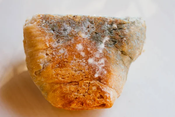Açık renkli, uygun olmayan gıda kavramı üzerinde küflü ekmek parçası
