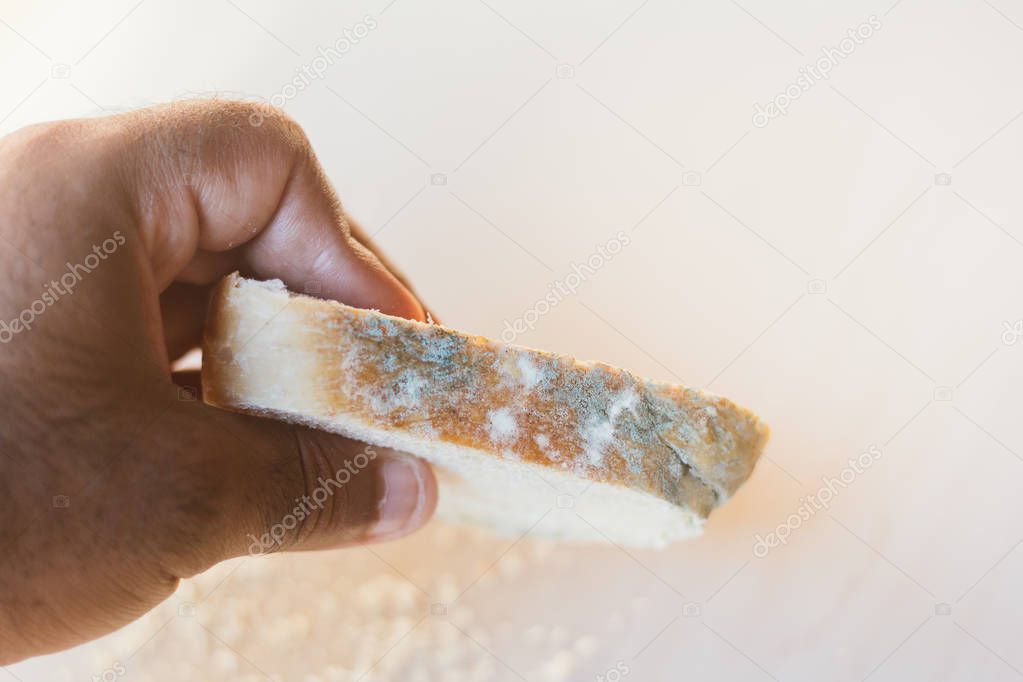 male hand holding slice of bread with mold on light background, concept of unsuitable food