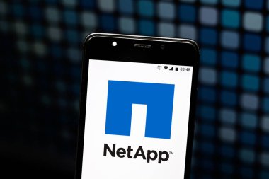 08 Eylül 2019, Brezilya. Bu fotoğraf illüstrasyonunda Netapp logosu bir akıllı telefonda görüntülenir