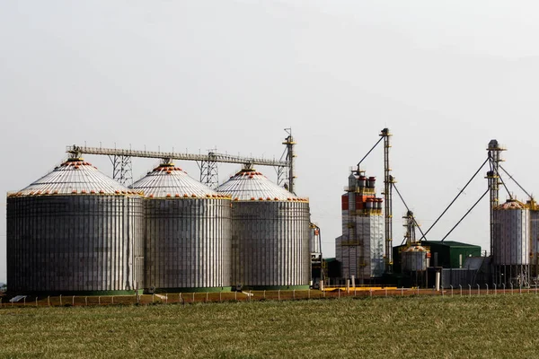 Silos rolniczy - Zewnętrzny budynek - Przechowywanie i suszenie Ziarna (słonecznik kukurydziany pszenny). — Zdjęcie stockowe