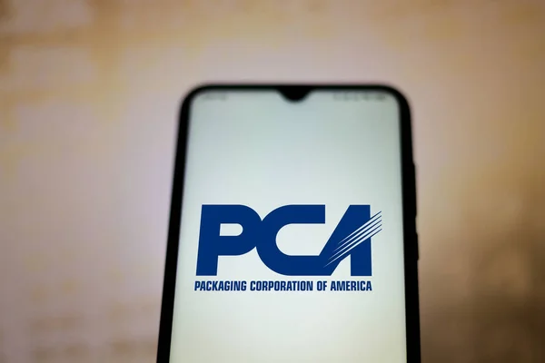 Haziran 2020 Brezilya Resimde Amerika Ambalaj Şirketi Pca Logosu Bir — Stok fotoğraf