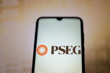 29 Haziran 2020, Brezilya. Bu resimde, bir akıllı telefonda görüntülenen Kamu Hizmeti Girişim Grubu (PSEG) logosu