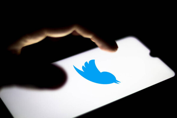 July 3, 2020, Brazil. In this photo illustration the Twitter logo seen displayed on a smartphone