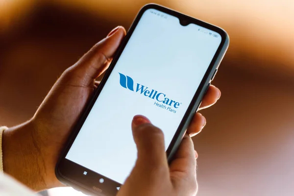 2020 Július Brazília Ezen Fotó Illusztráció Wellcare Health Plans Logó — Stock Fotó