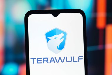 Bu resimde TeraWulf (Tera Wulf) logosu akıllı telefon ekranında görüntülenir.