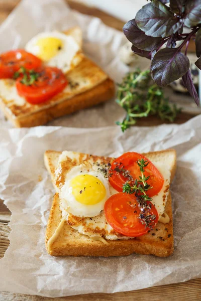 Sandwich with fried egg, tomato and fried cheese. — Stock Photo, Image