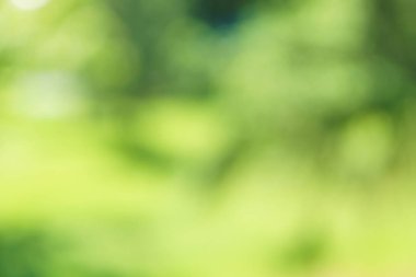 Yeşil arka plan ve güneş ışığı bulanık. Doğal yaprakları açık.