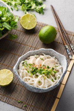 Bir kase geleneksel vietnam şehriye çorbası Pho.