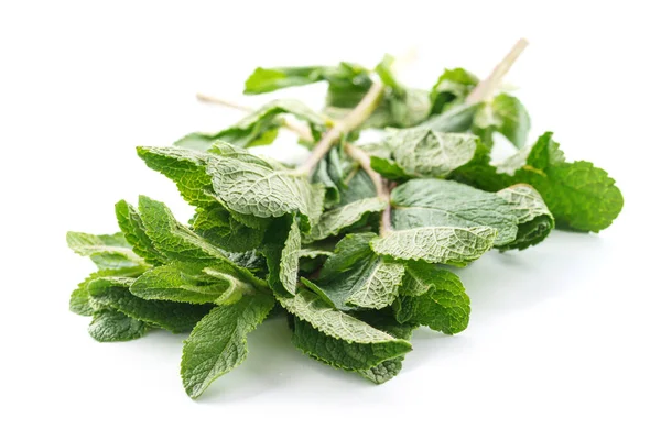 Hojas frescas de menta aisladas en blanco. Menta o hierbabuena . —  Fotos de Stock