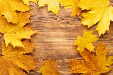 Sarı akçaağaç çerçeve arka plan bırakır. Sonbahar mevsimsel kavramı.