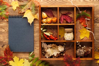 Kutuda yapraklar, fındıklar ve meyveler ve bir dizüstü bilgisayar ile arka plan.