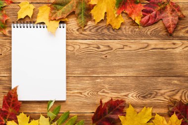 Kırmızı ve sarı yapraklı ahşap arka plan üzerinde boş defter.