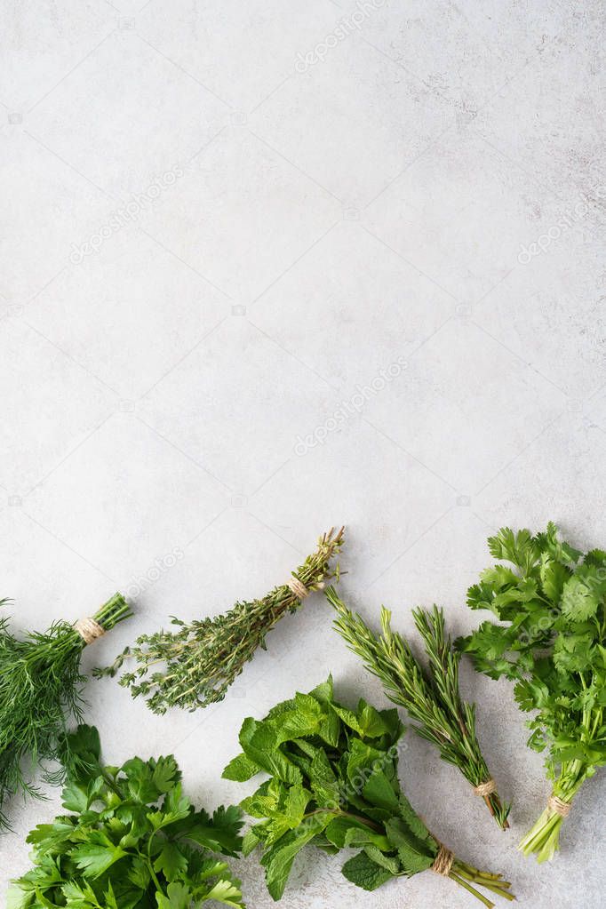 Various fresh herbs on gray background with copy space.