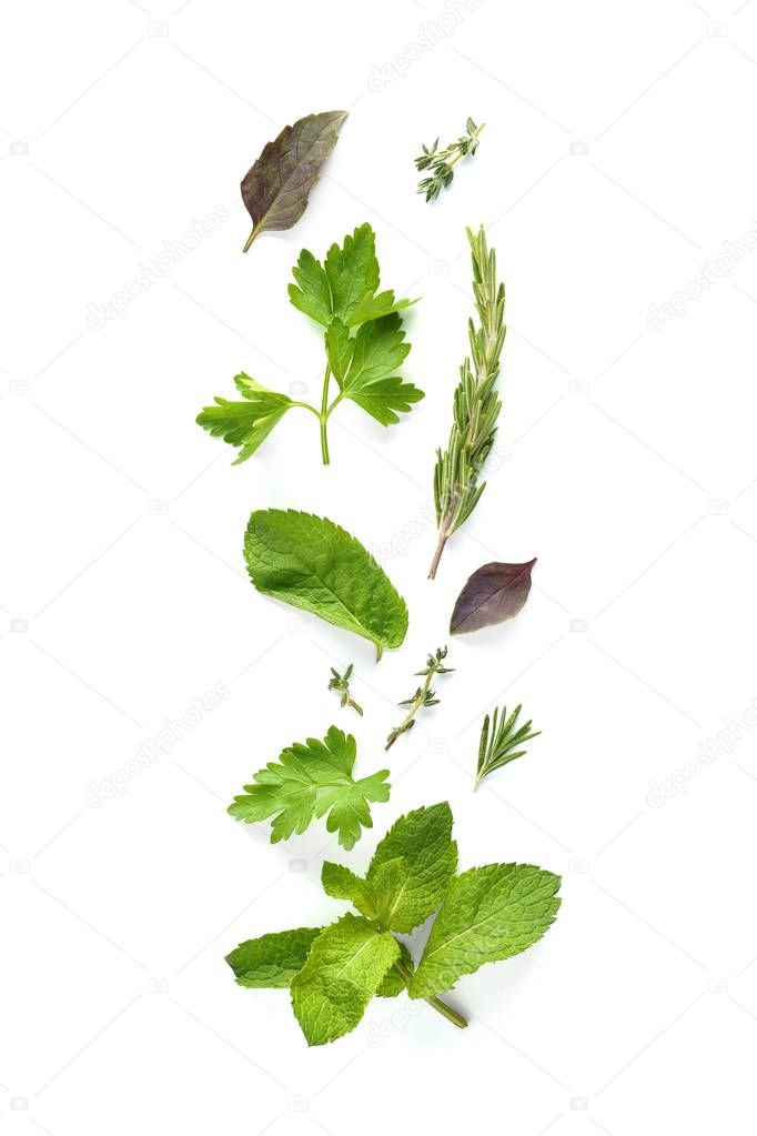 Set of various fresh herbs isolated on white background.